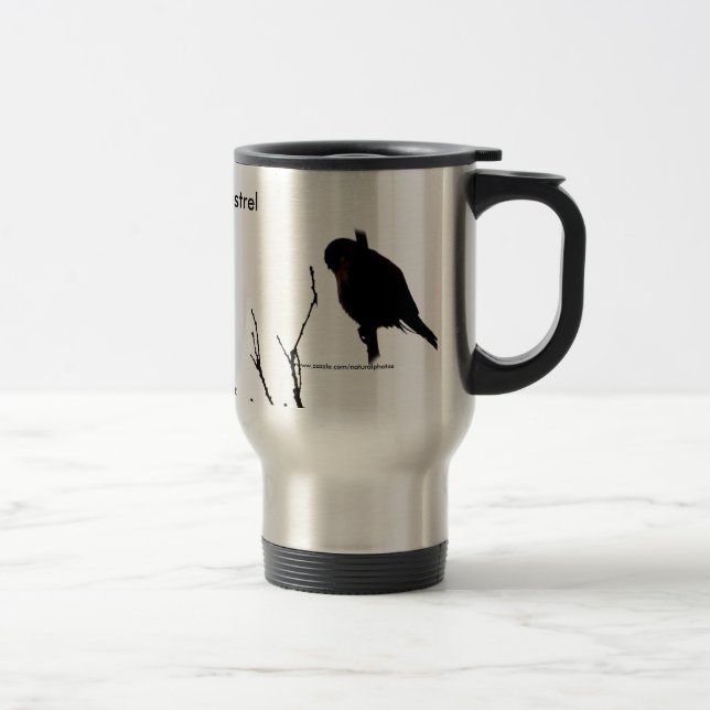 Tasse américaine de crécerelle (Droit)