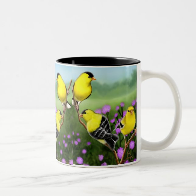 Tasse américaine sauvage de chardonnerets (Droit)