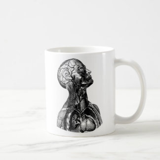 Tasse anatomique de dessin de torse supérieur