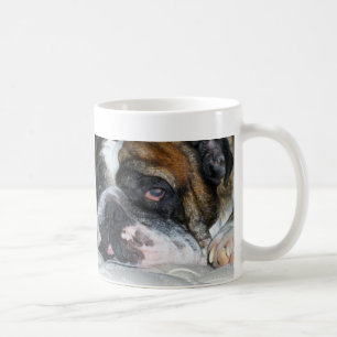 Tasse anglaise somnolente de bouledogue de