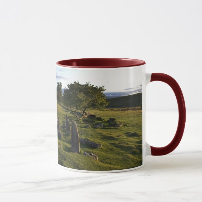 Tasse antique de règlement de Dartmoor (Droite)