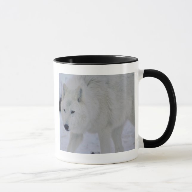Tasse arctique de loup (Droite)