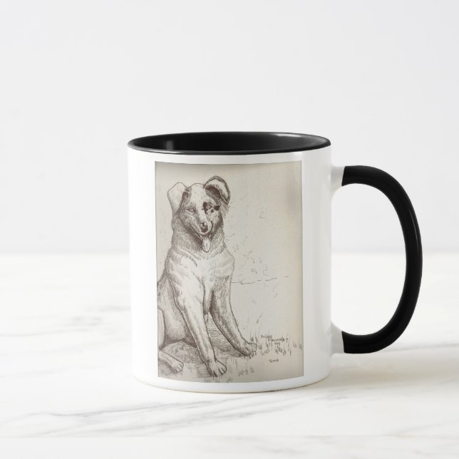 Tasse australienne de berger (Droite)
