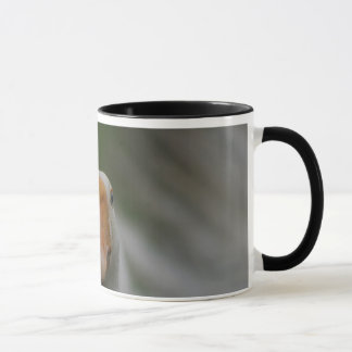 Tasse avec des oies…