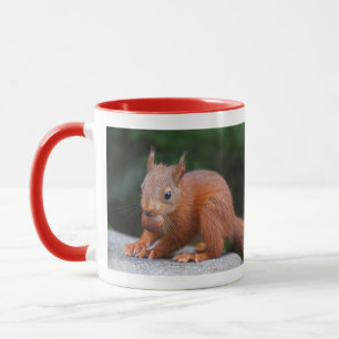 Tasse avec écureuil bébé et noix