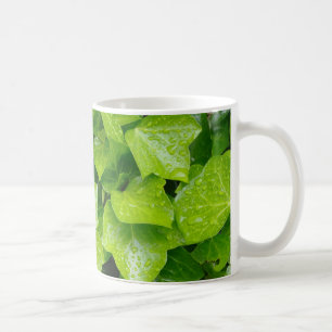 tasse avec feuilles de lierre