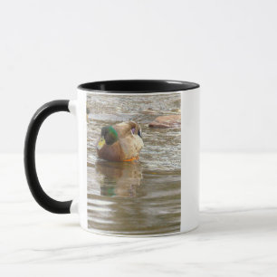 Tasse avec photo de canard colvert