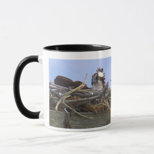 Tasse avec photo d'oiseau balbuzard pêcheur