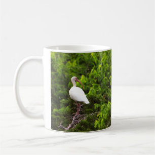 Tasse avec photo d'oiseau Ibis blanc
