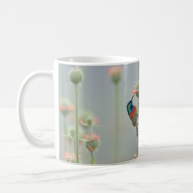 Tasse avec une photographie d'un sunbird (Gauche)