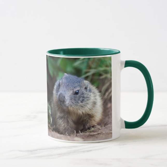 Tasse bébé marmotte curieuse (Droite)