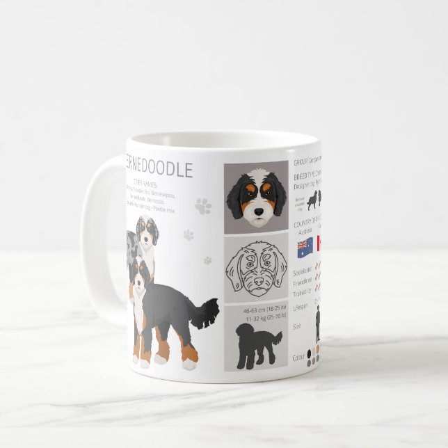 Tasse Bernedoodle mélange de chien (Devant gauche)