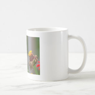 Tasse blanche classique de colibri