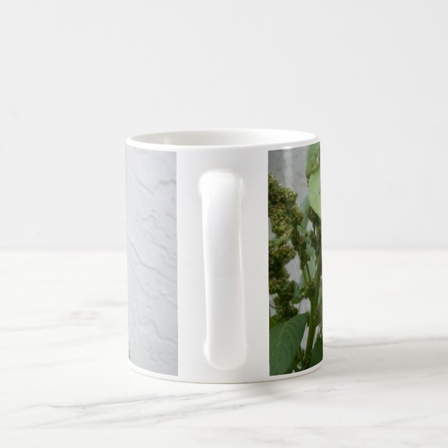 Tasse blanche classique d'épinards sauvages (Poignée)