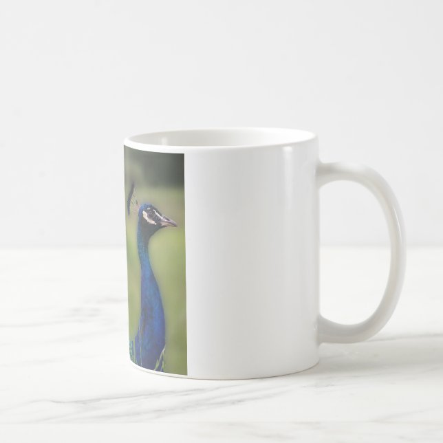 Tasse blanche classique photo de paon (Droite)