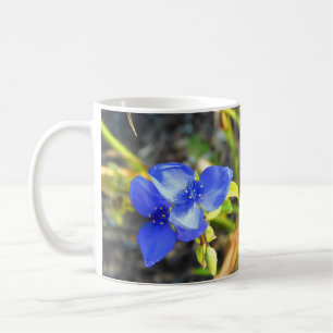 Tasse bleue de fleur de Spiderwort