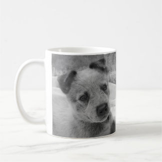 TASSE BLEUE DE HEELER
