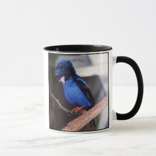 Tasse bleue de pognon