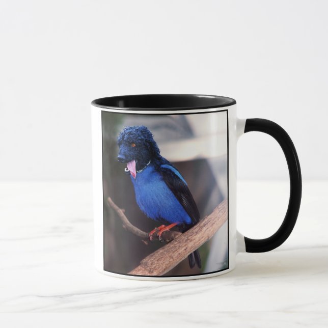 Tasse bleue de pognon (Droite)