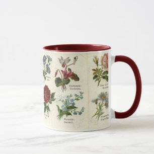 Tasse botanique vintage de carte