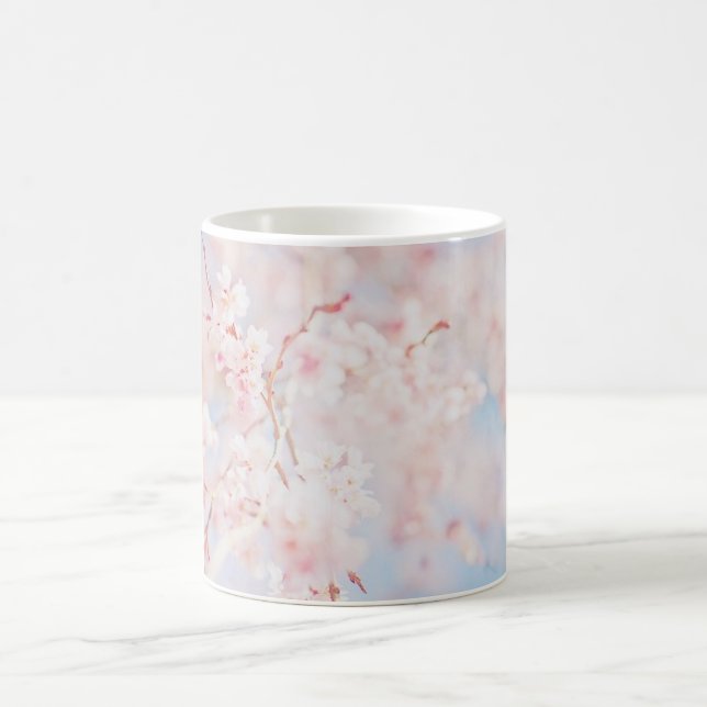 TASSE - branche de Sakura (Centre)