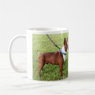 Tasse Brown de Boston Terrier