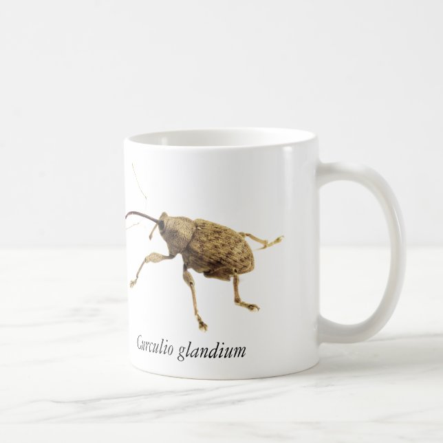 Tasse Charançon du gland (Droite)
