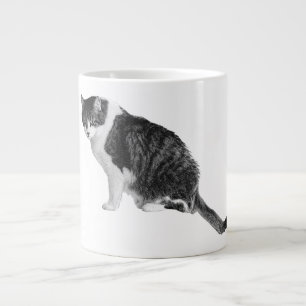 Tasse Chat Assis Ombré Ajoute Une Confiance Douce