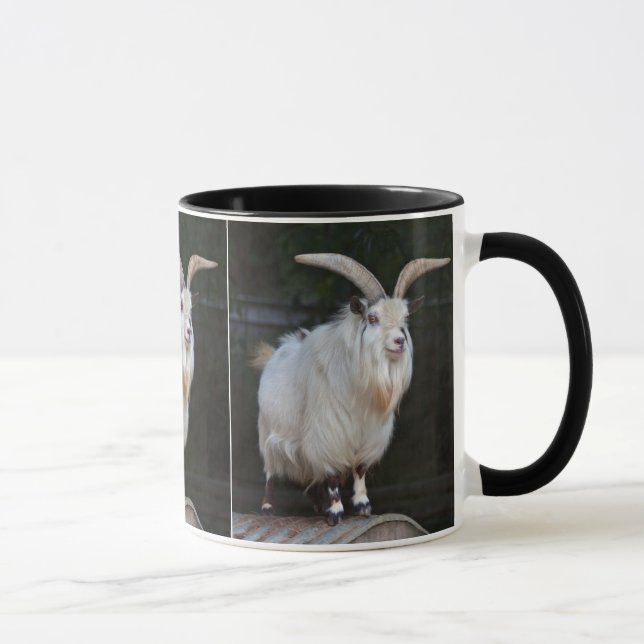 Tasse Chèvre Pygmée Africaine (Droite)
