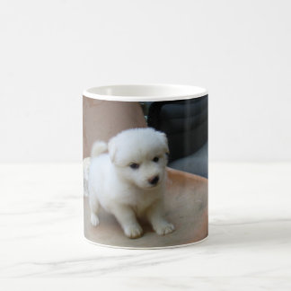tasse classique