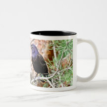 Tasse commune de Grackle