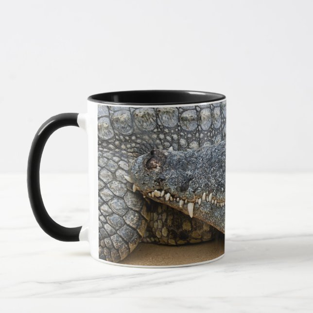 Tasse Crocodiles (Gauche)