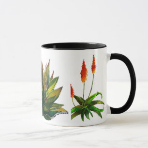 Tasse d'agave et de café d'aloès
