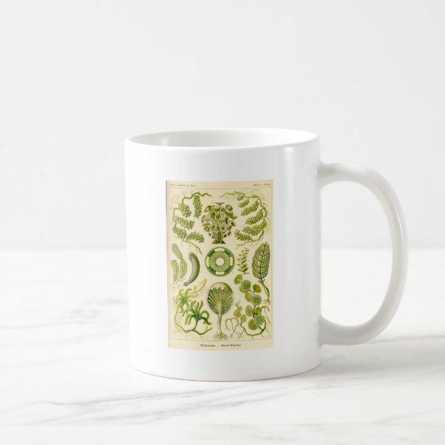 Tasse d'algues vertes (Droite)