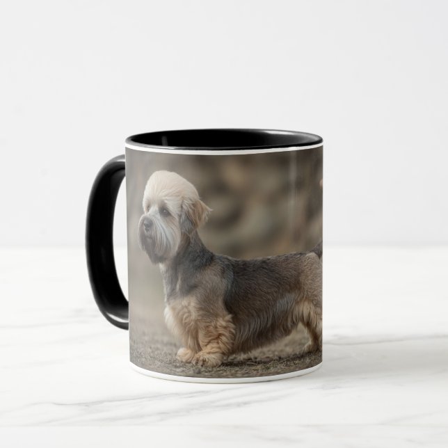 Tasse Dandie Dinmont Terrier (Devant gauche)
