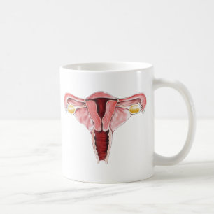 Tasse d'appareil génital féminin