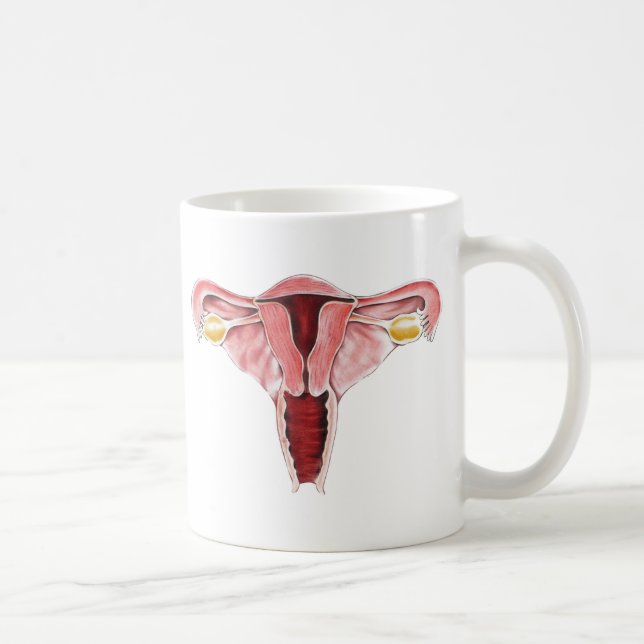 Tasse d'appareil génital féminin (Droite)