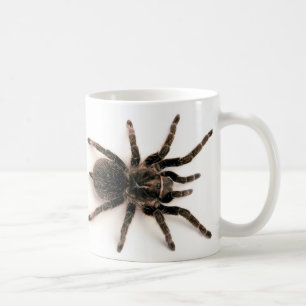 Tasse d'araignée de tarentule