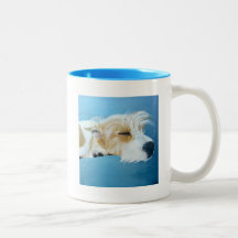 Tasse d'art de chien de sommeil Jack Russell
