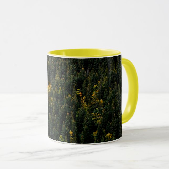 Tasse d'automne de forêt de pins aérienne (Devant droit)
