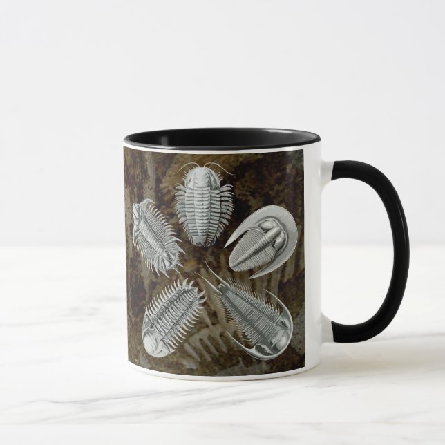 Tasse de 5 Trilobites (Droite)