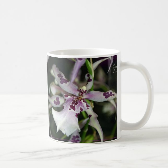 Tasse de Beallara d'orchidée (Droite)