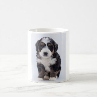 Tasse de Bernedoodle