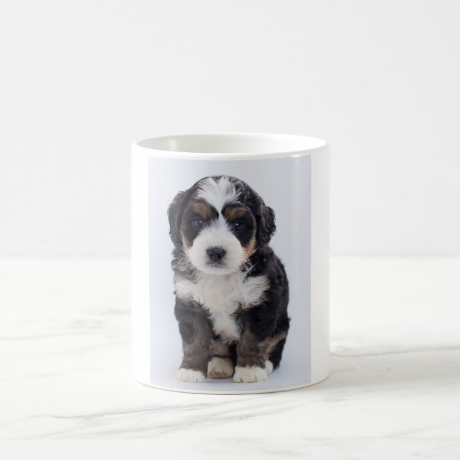 Tasse de Bernedoodle (Centre)