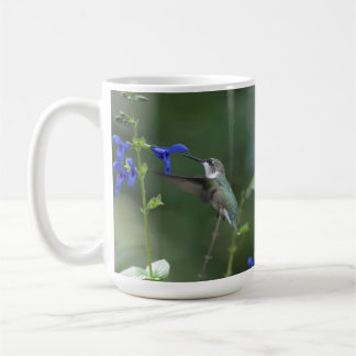 Tasse de bleu de saphir de salvia d'oiseau de