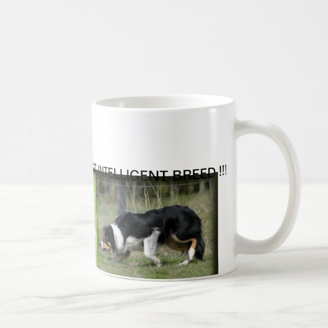 TASSE DE BORDER COLLIE (Droite)