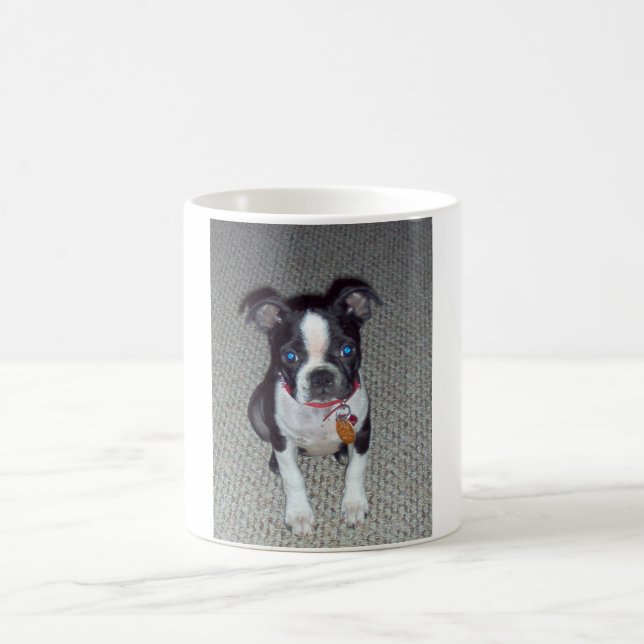 Tasse de Boston Terrier (Centre)