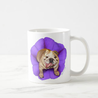 Tasse de bouledogue de gloire de matin