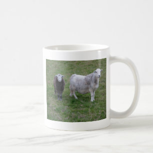 Tasse de brebis et d'agneau de Herdwick