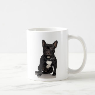 Tasse de bull-terrier du Staffordshire
